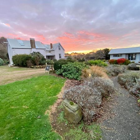 Robin Hoods Well Farm Stay Sassafras Eksteriør billede