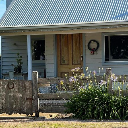 Robin Hoods Well Farm Stay Sassafras Eksteriør billede