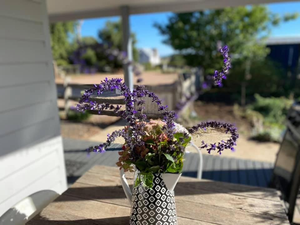 Robin Hoods Well Farm Stay Sassafras Eksteriør billede