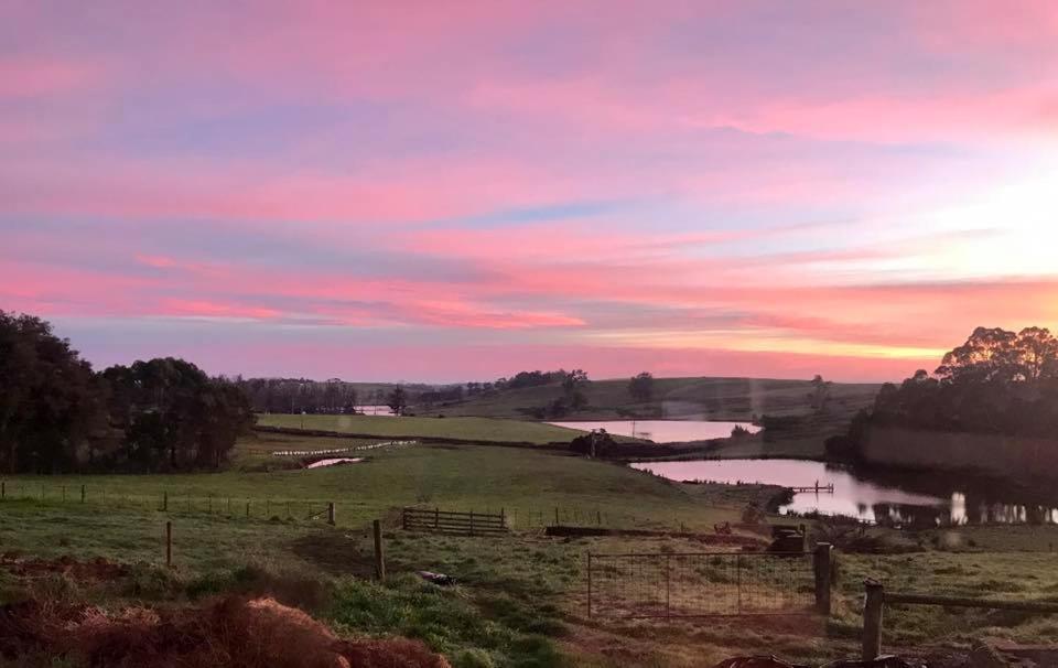 Robin Hoods Well Farm Stay Sassafras Eksteriør billede