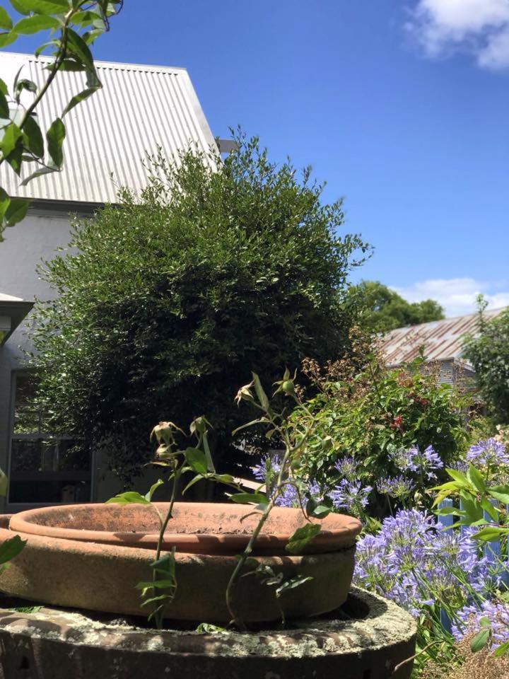 Robin Hoods Well Farm Stay Sassafras Eksteriør billede