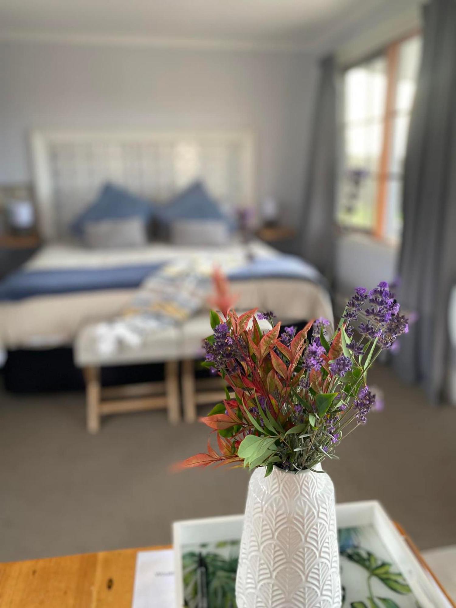 Robin Hoods Well Farm Stay Sassafras Eksteriør billede