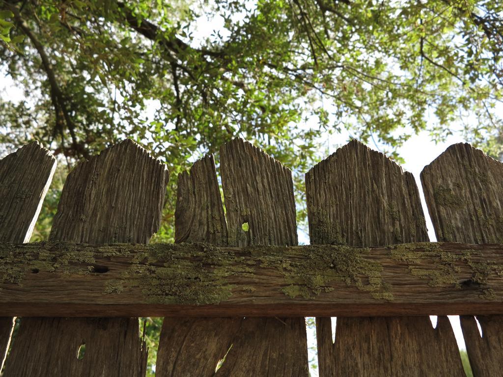Robin Hoods Well Farm Stay Sassafras Eksteriør billede