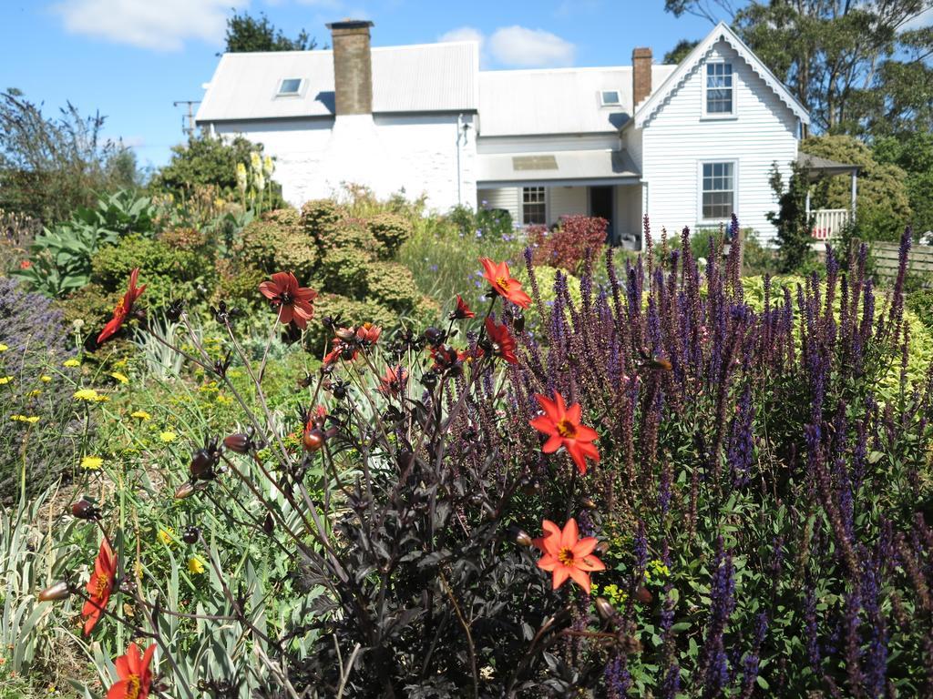 Robin Hoods Well Farm Stay Sassafras Eksteriør billede
